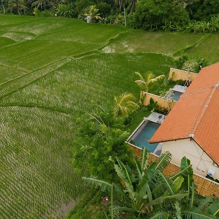 Uma Rimbun Pool Villa By Uniquecations Ubud  Ngoại thất bức ảnh